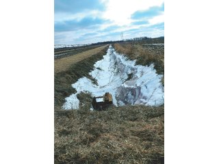 Property photo 19 - LAND AUCTION - 228+/- ACRES OFFERED IN 2 TRACTS IN JASPER COUNTY, INDIANA
